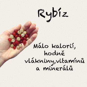 Rybíz